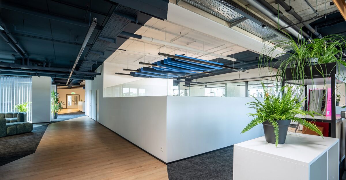 Offener Arbeitsbereich im Büro der innpuls Werbeagentur mit blauen Akustikelementen an der Decke und Pflanzen.
